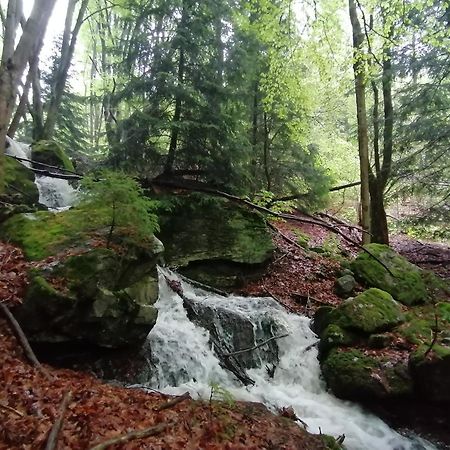 La Fortance Paradis Naturel - Proche De La Ville Planfoy ภายนอก รูปภาพ