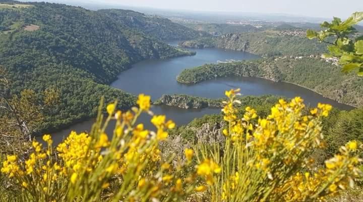La Fortance Paradis Naturel - Proche De La Ville Planfoy ภายนอก รูปภาพ