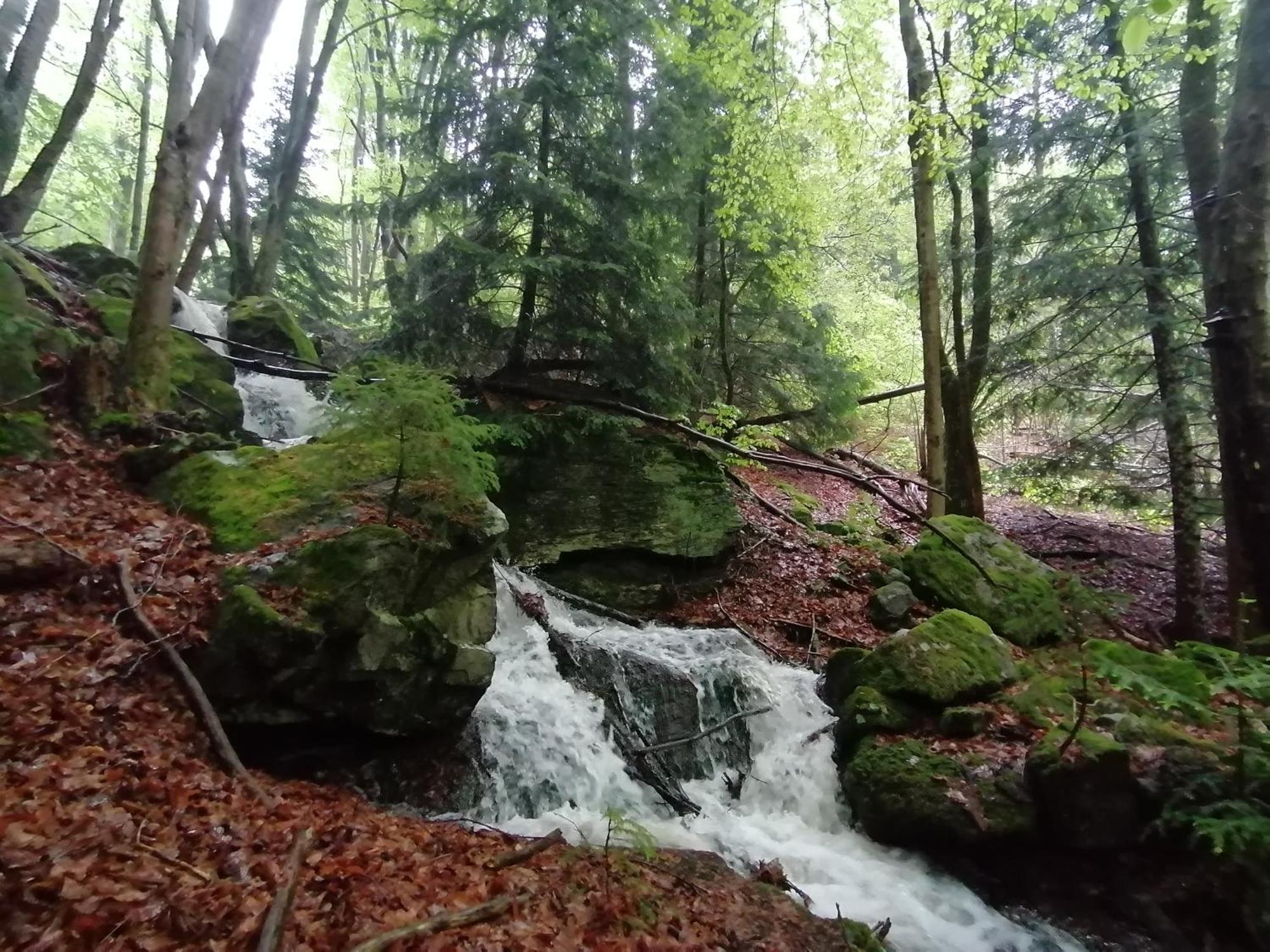 La Fortance Paradis Naturel - Proche De La Ville Planfoy ภายนอก รูปภาพ