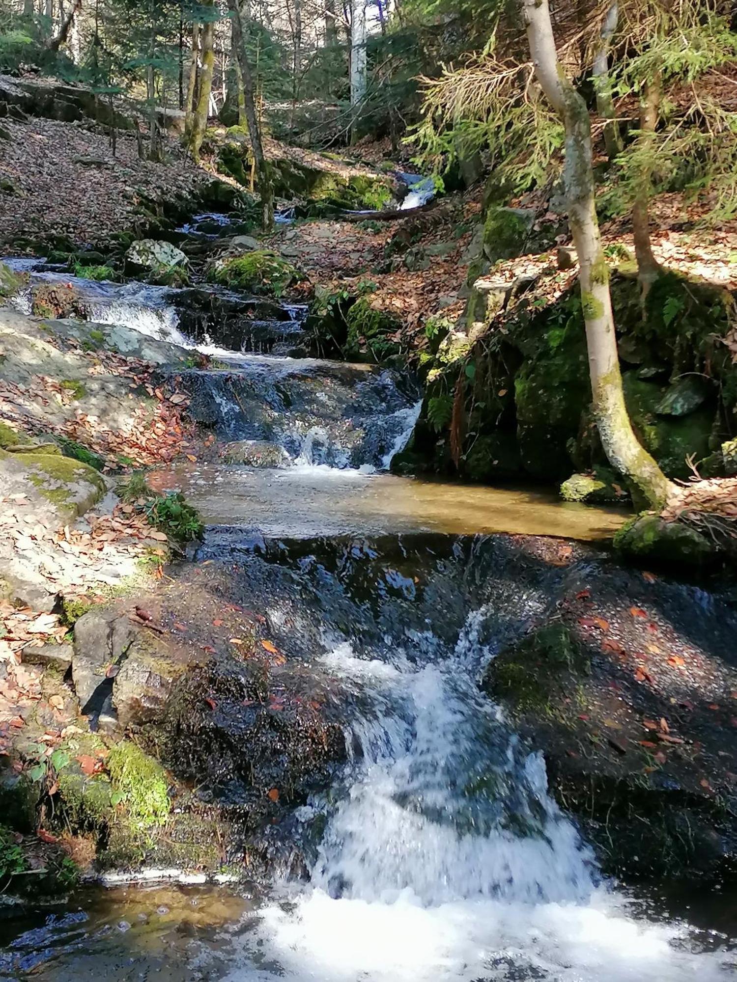 La Fortance Paradis Naturel - Proche De La Ville Planfoy ภายนอก รูปภาพ