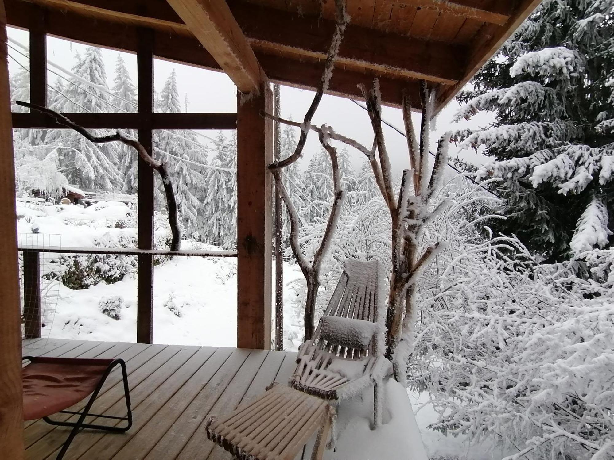 La Fortance Paradis Naturel - Proche De La Ville Planfoy ภายนอก รูปภาพ