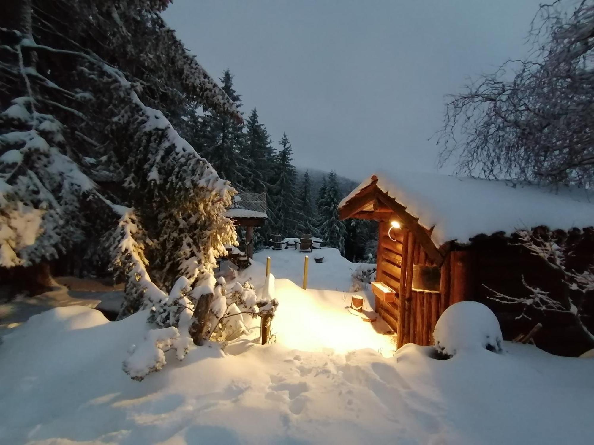 La Fortance Paradis Naturel - Proche De La Ville Planfoy ภายนอก รูปภาพ