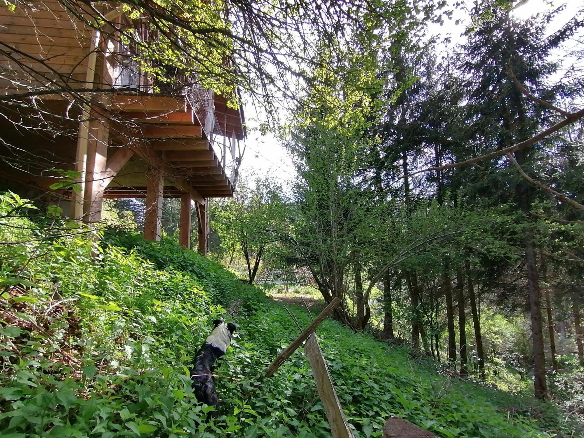 La Fortance Paradis Naturel - Proche De La Ville Planfoy ห้อง รูปภาพ