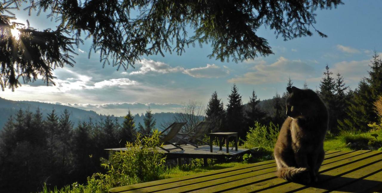 La Fortance Paradis Naturel - Proche De La Ville Planfoy ภายนอก รูปภาพ