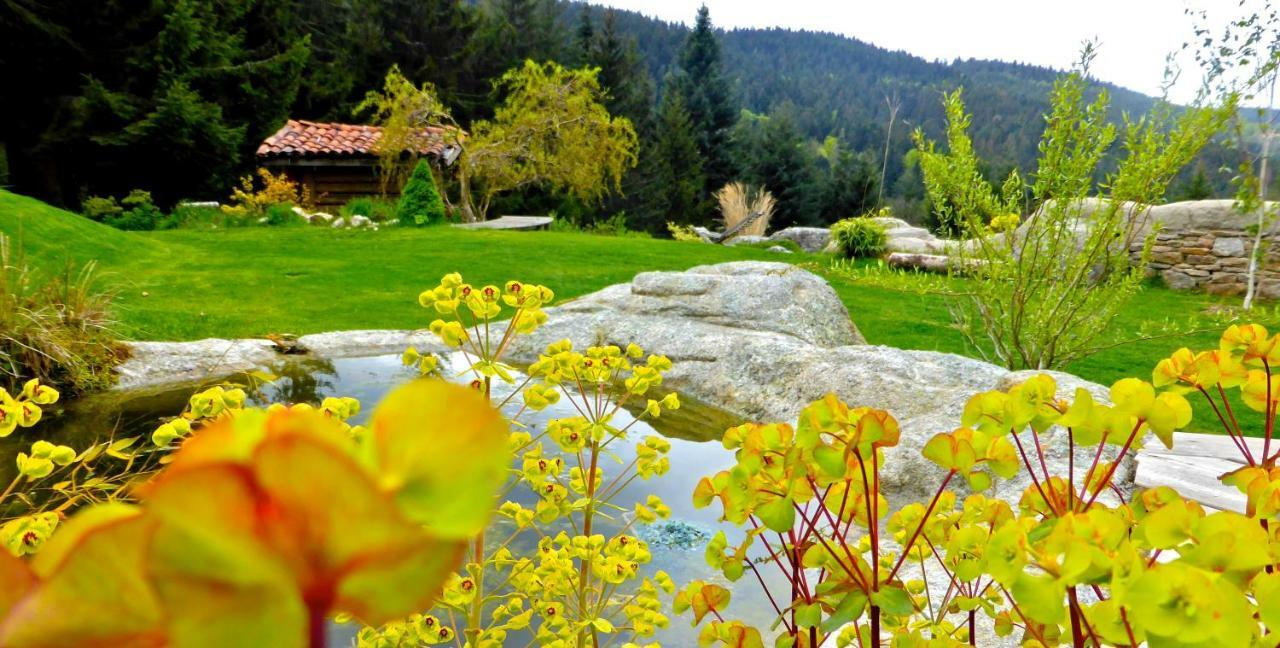 La Fortance Paradis Naturel - Proche De La Ville Planfoy ภายนอก รูปภาพ