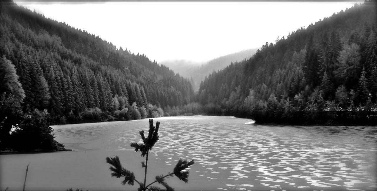 La Fortance Paradis Naturel - Proche De La Ville Planfoy ภายนอก รูปภาพ