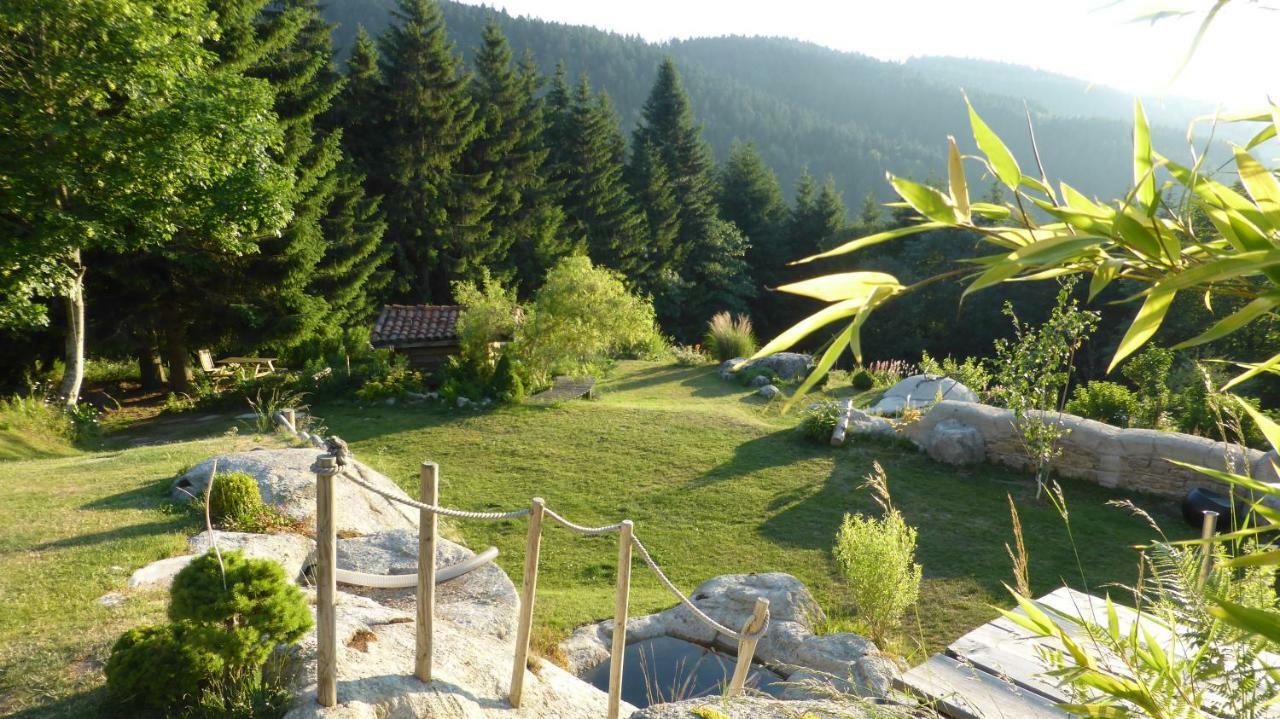 La Fortance Paradis Naturel - Proche De La Ville Planfoy ภายนอก รูปภาพ