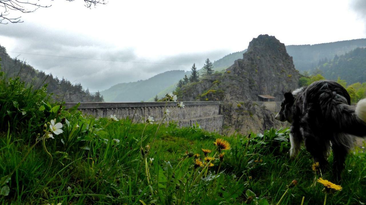 La Fortance Paradis Naturel - Proche De La Ville Planfoy ภายนอก รูปภาพ